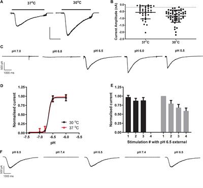 Development of ASIC1a ligand-gated ion channel drug screening assays across multiple automated patch clamp platforms